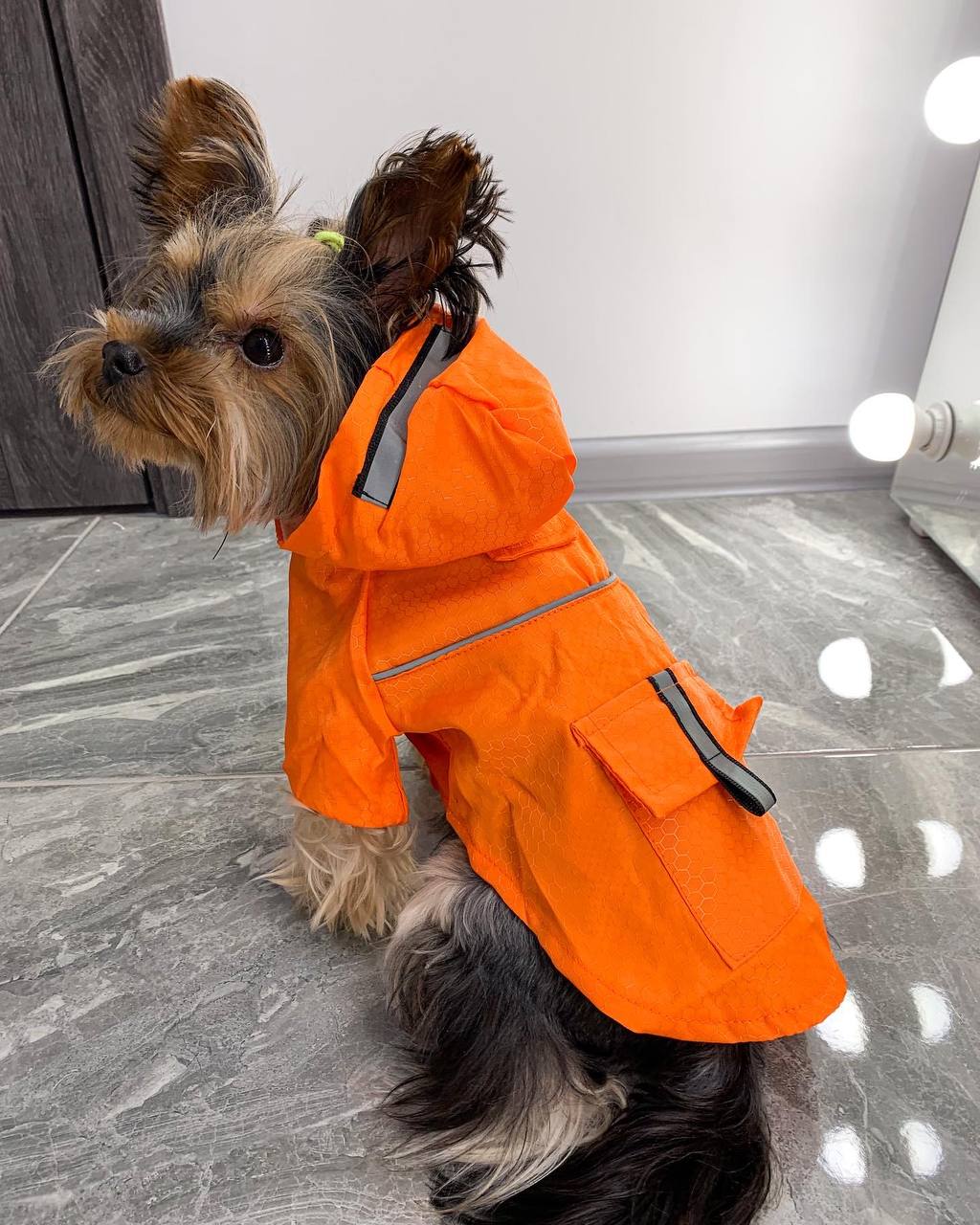 A practical raincoat for a dog