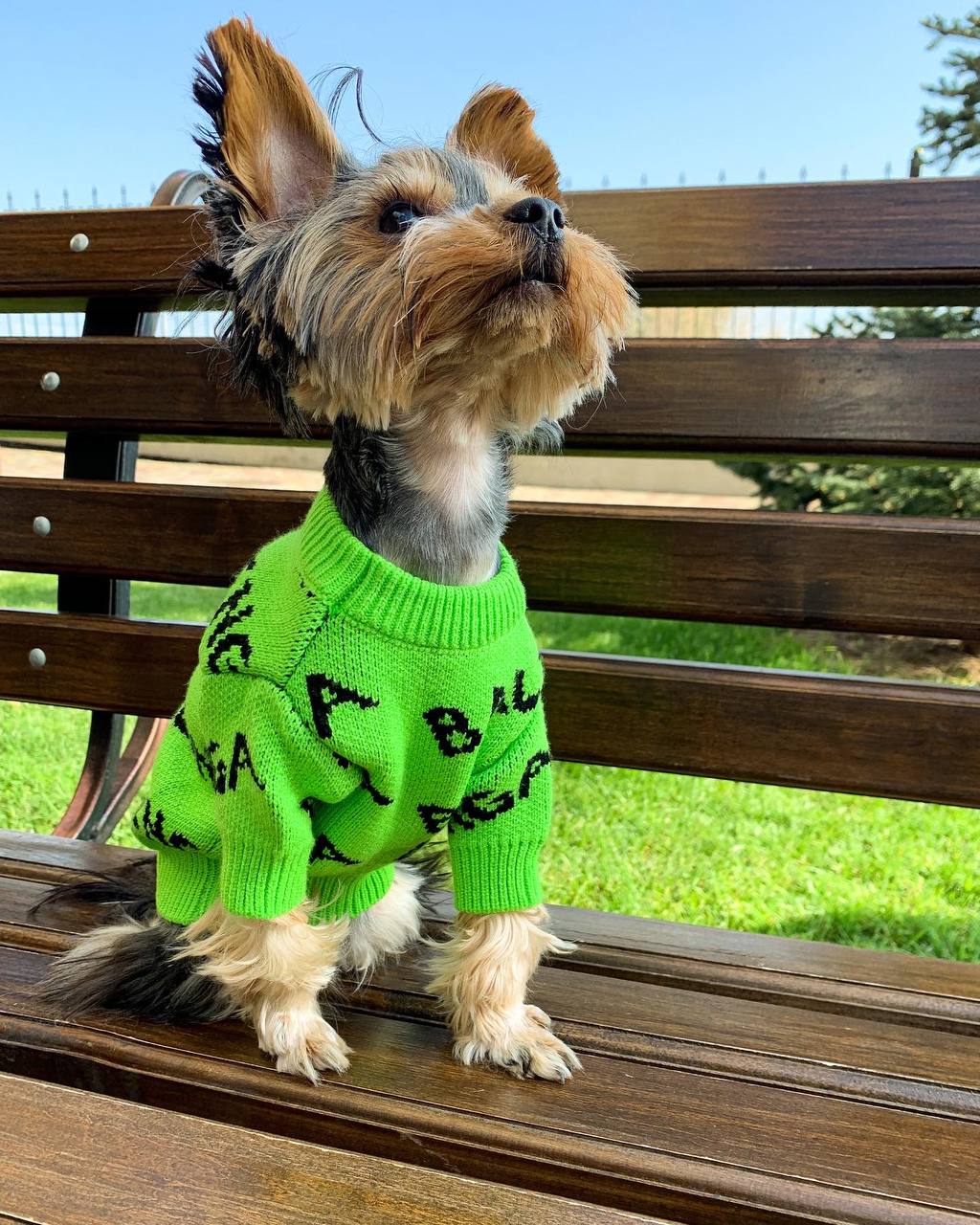 Stylish and bright sweater 💚