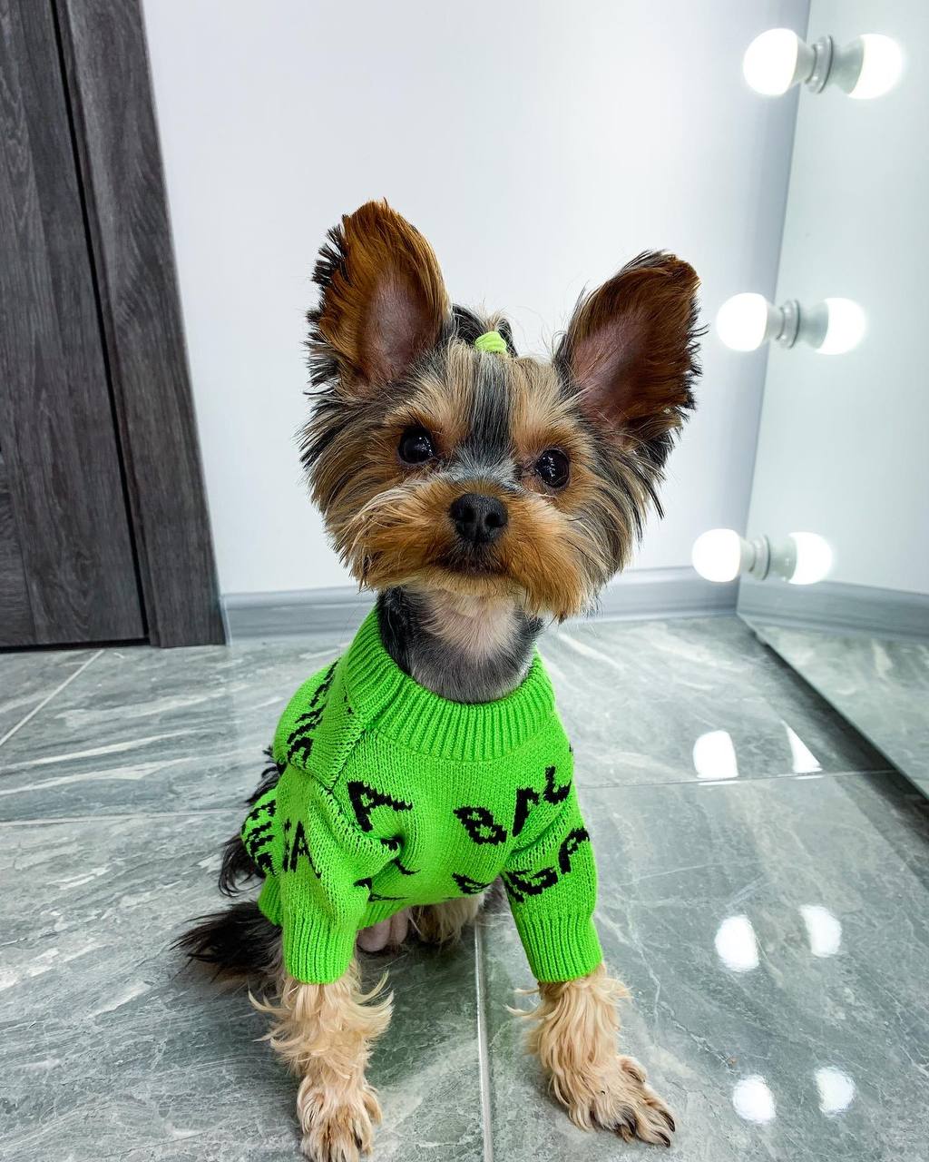 Stylish and bright sweater 💚