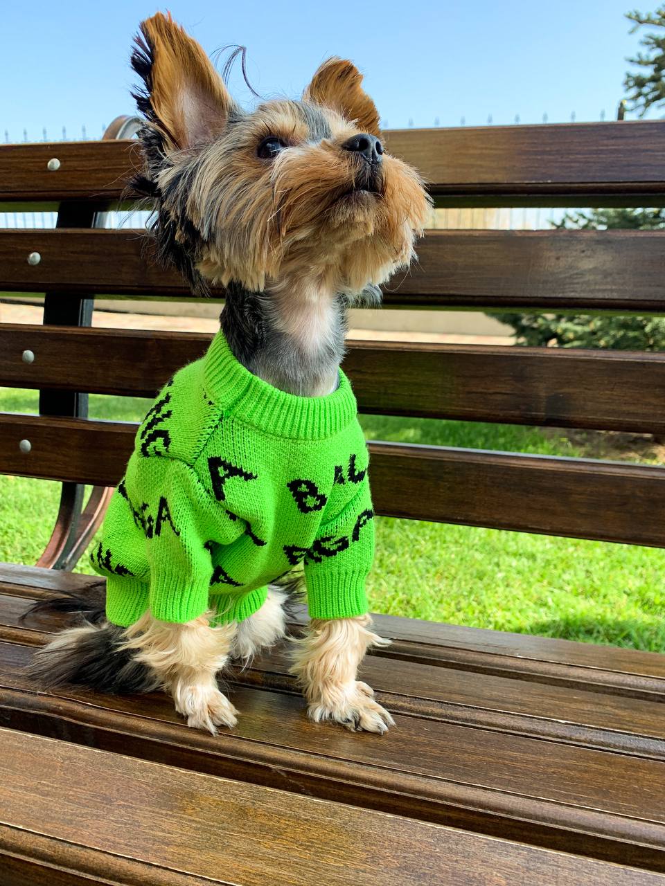 Stylish and bright sweater 💚