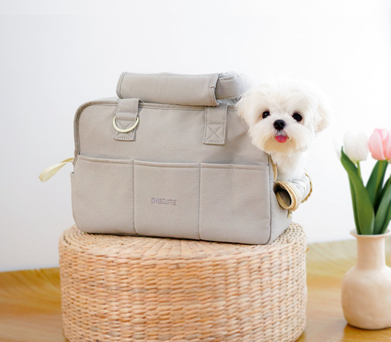 Carrying bag for dogs and cats