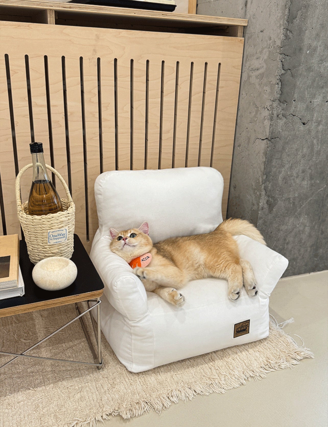 Sofa for cats + free shipping 🎁