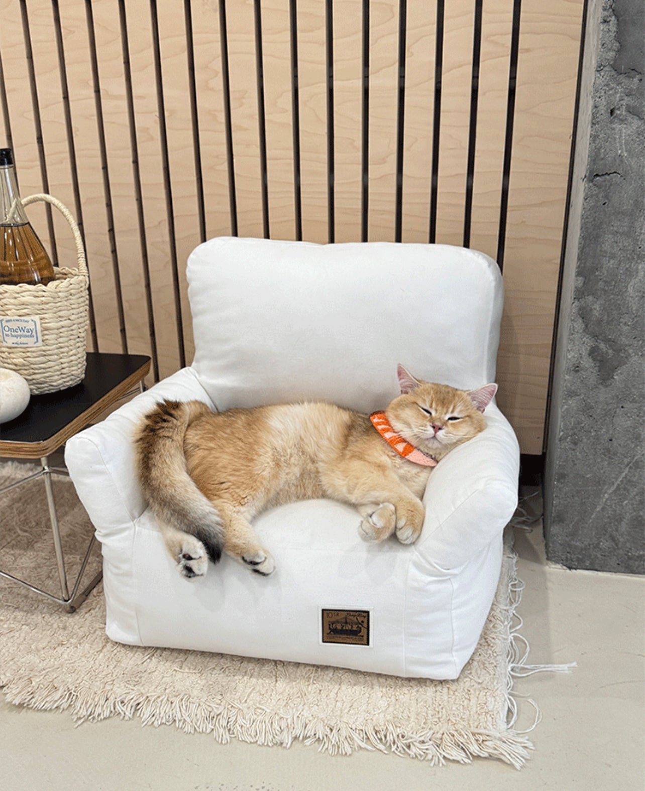 Sofa for cats + free shipping 🎁