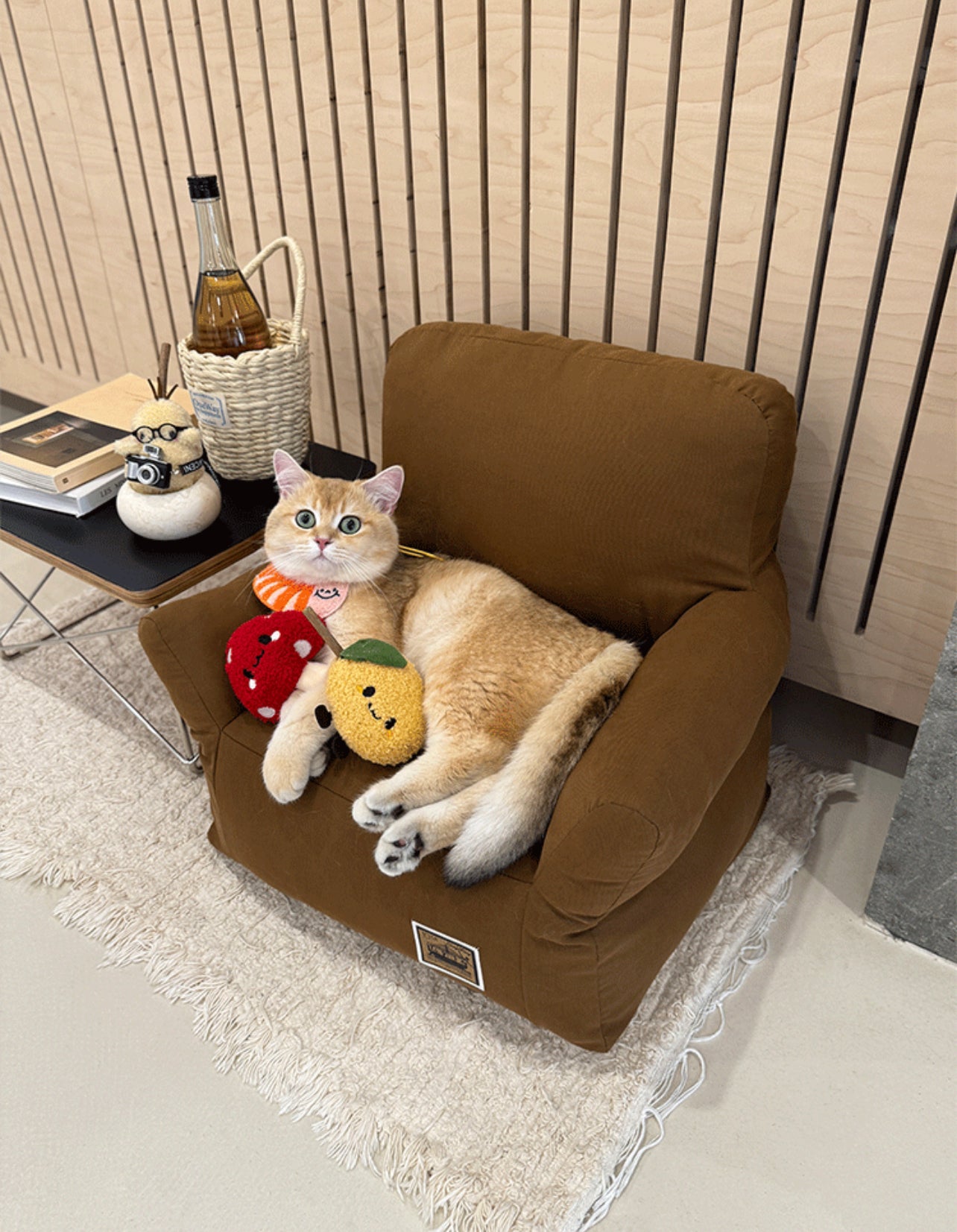 Sofa for cats + free shipping 🎁