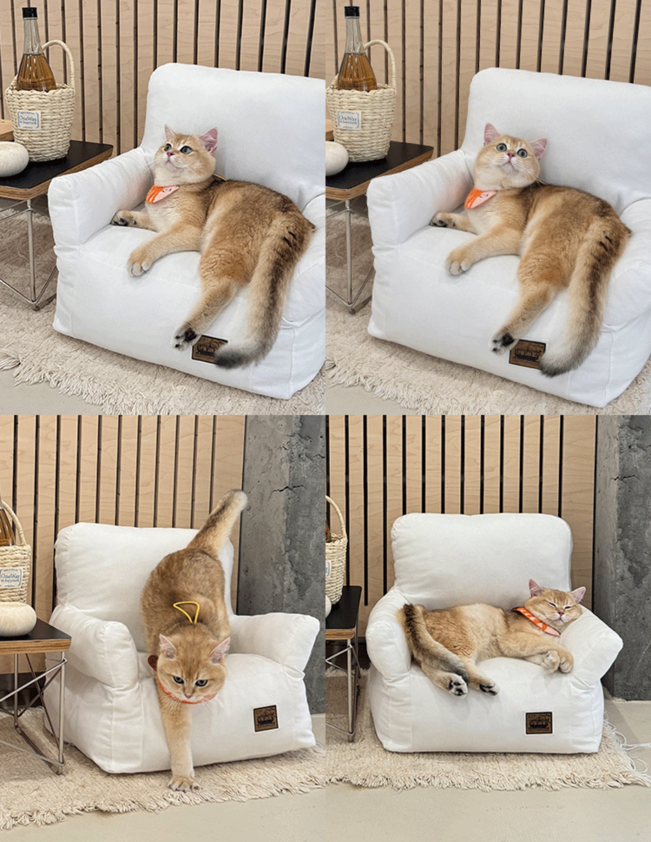 Sofa for cats + free shipping 🎁