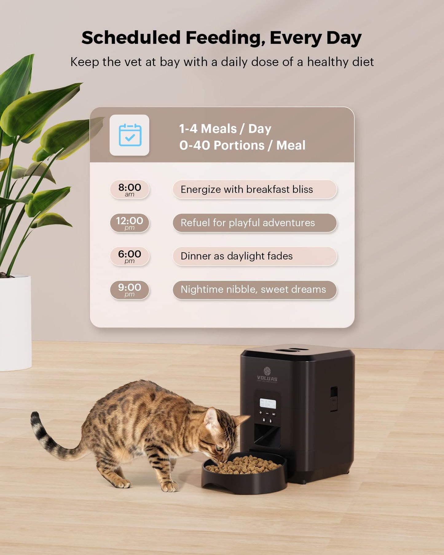 Automatic feeder for dogs and cats