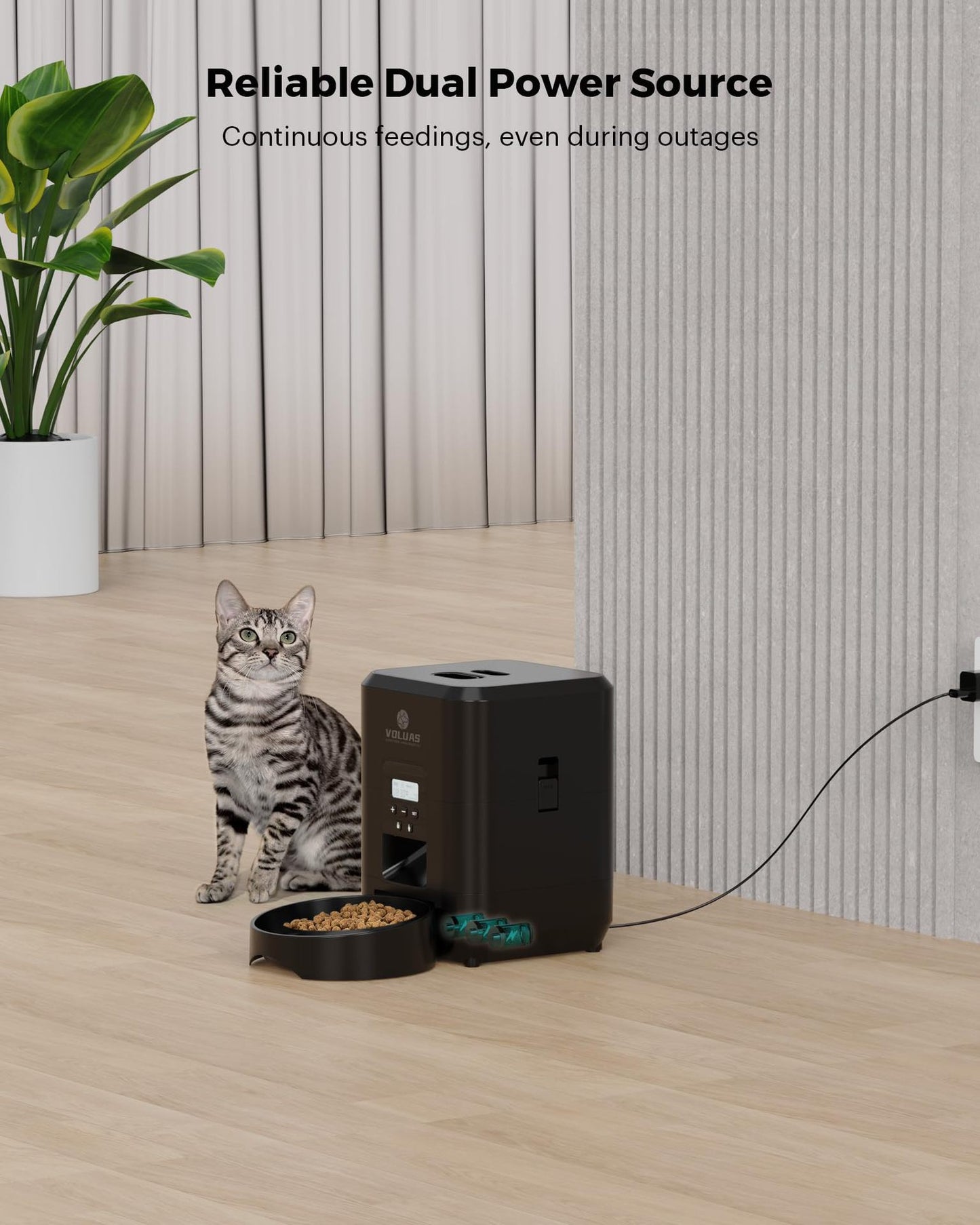 Automatic feeder for dogs and cats