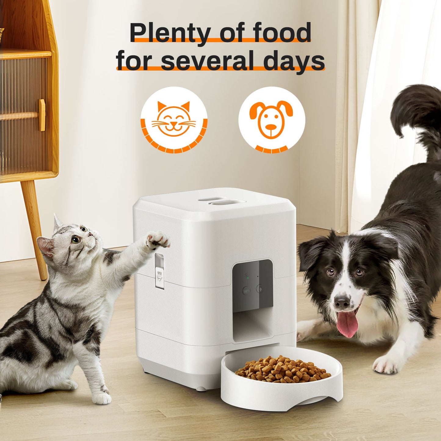 Automatic feeder for dogs and cats