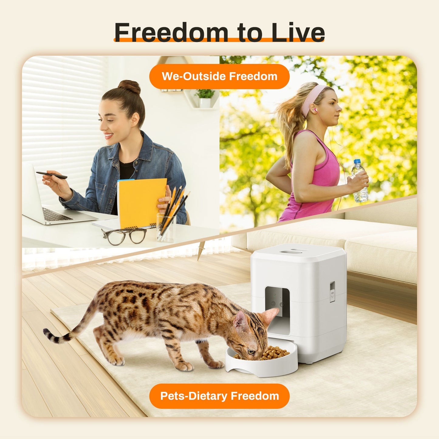 Automatic feeder for dogs and cats