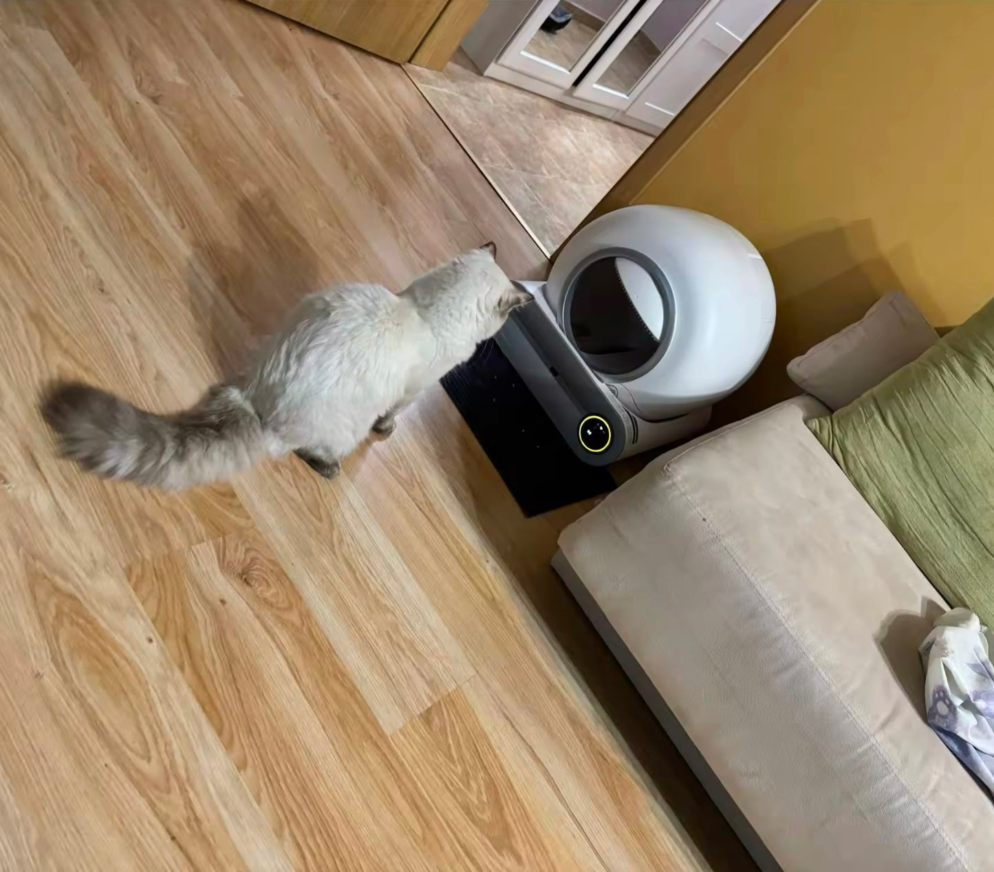 Automatic Smart Cat Litter