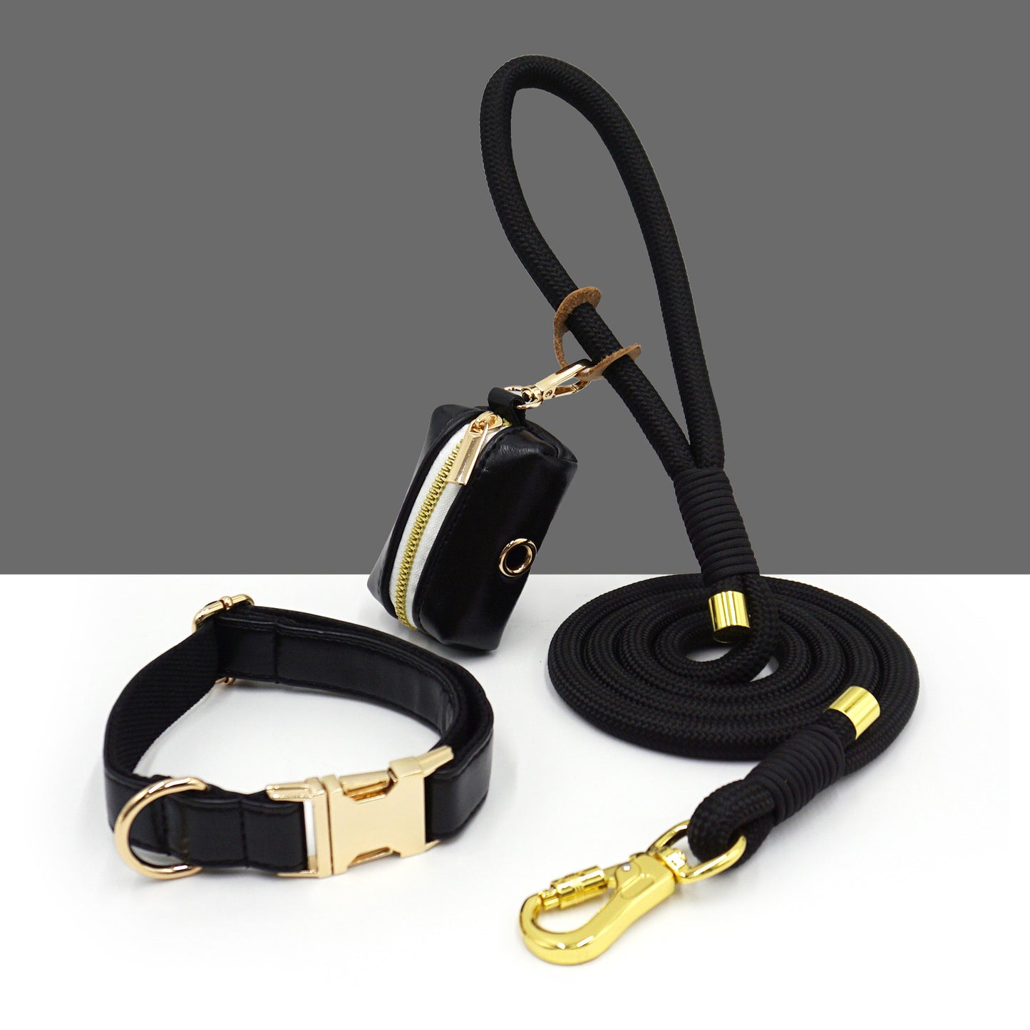 Walking kit for dogs