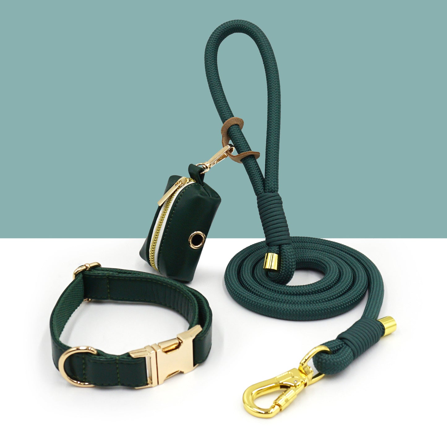 Walking kit for dogs