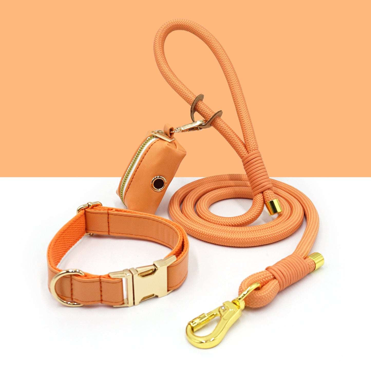 Walking kit for dogs