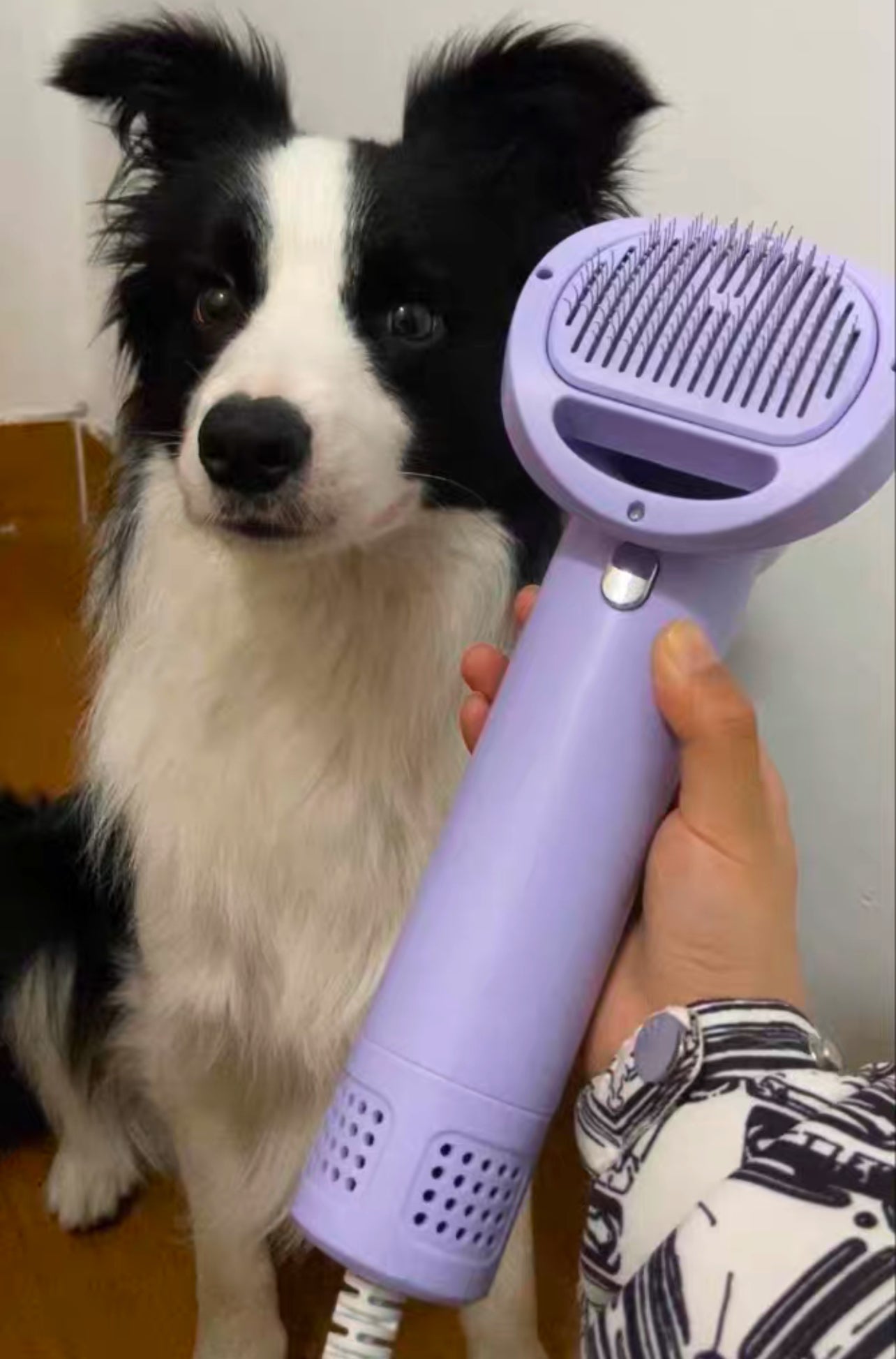 Smart Pet Grooming Dryer