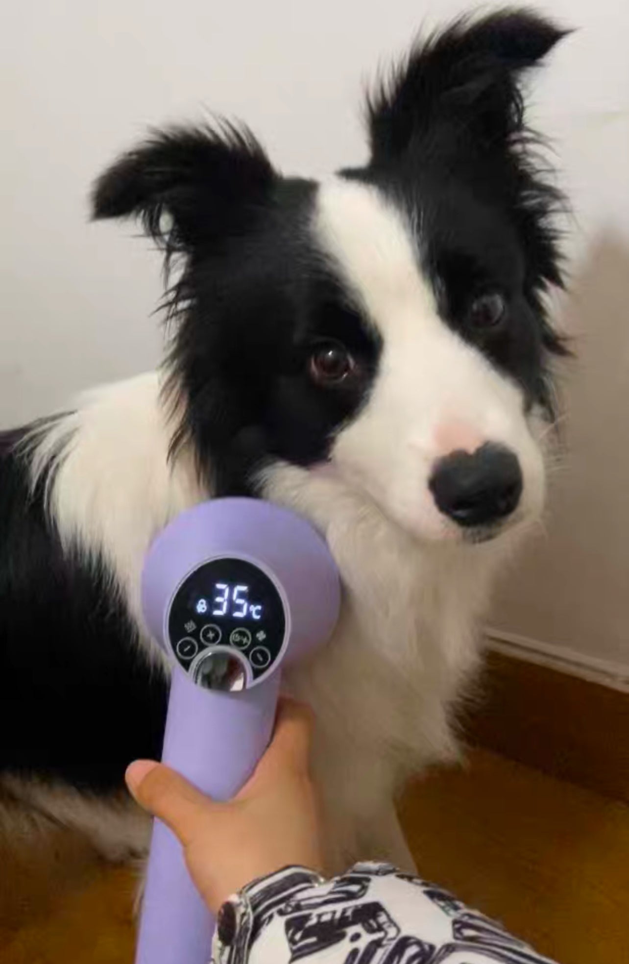 Smart Pet Grooming Dryer