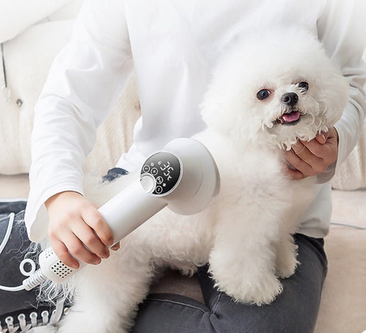 Smart Pet Grooming Dryer