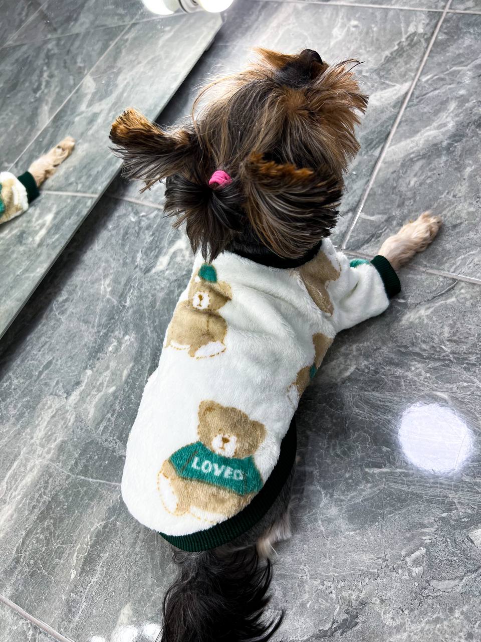 Pajamas for your pet🐶