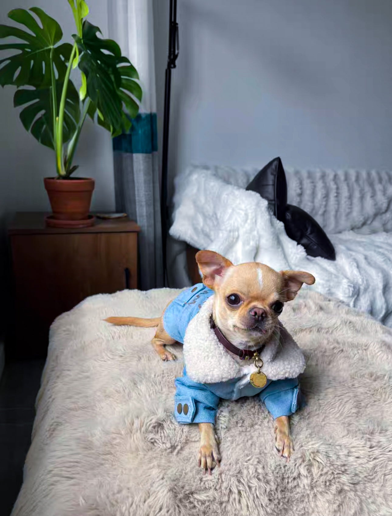 A denim jacket with a warm faux fur lining