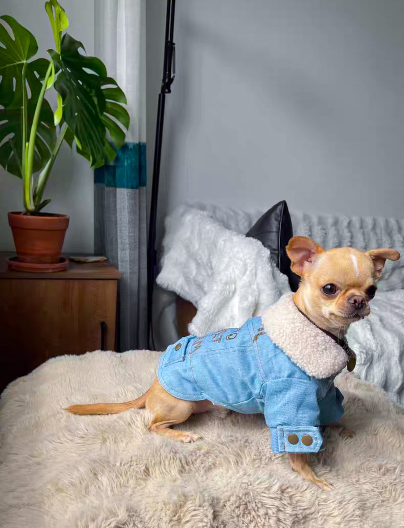 A denim jacket with a warm faux fur lining