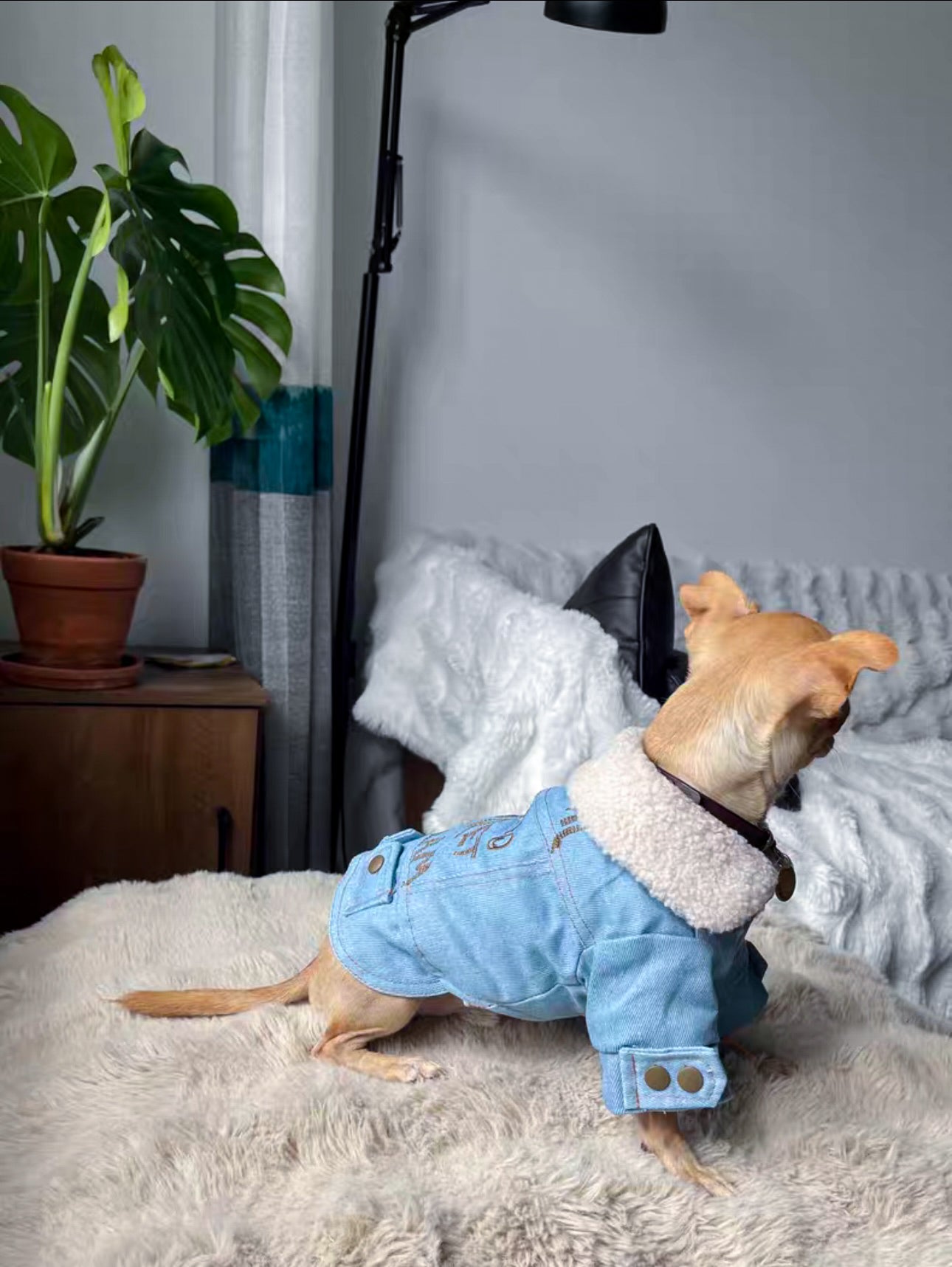 A denim jacket with a warm faux fur lining