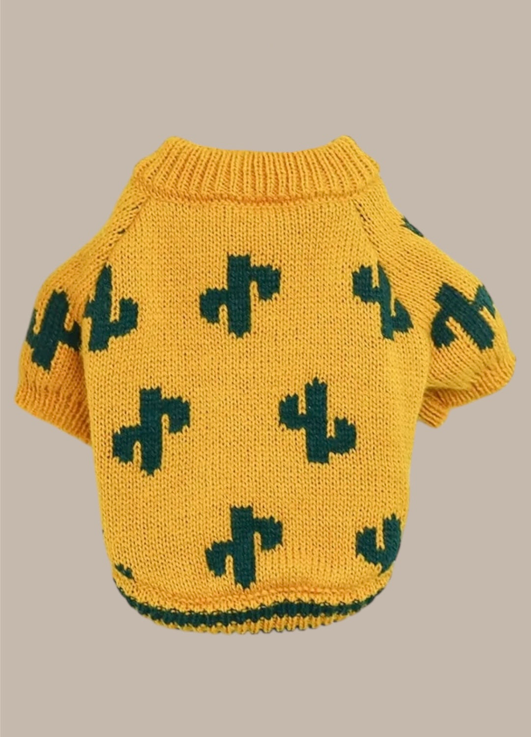 Sweater with cacti